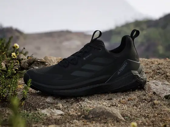 Adidas Terrex Free Hiker 2.0 Low GORE-TEX